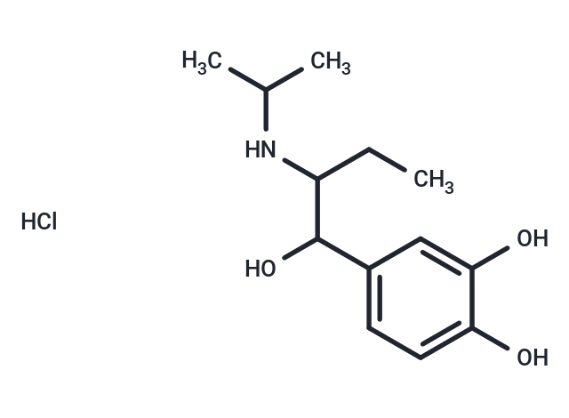 Isoetharine hydrochloride