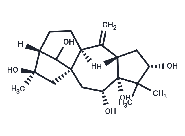 Grayanotoxin II