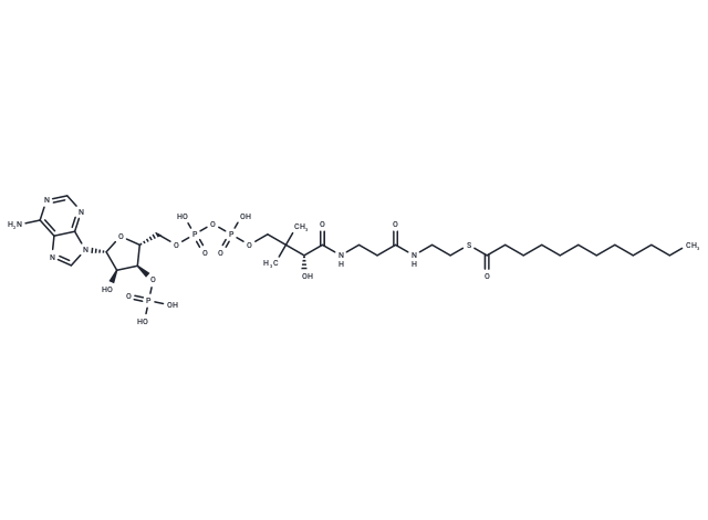 Lauroyl-coenzyme A