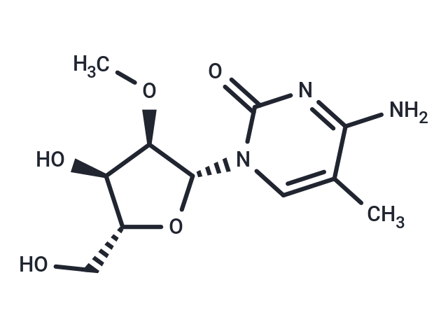 2'-O-Methyl-5-methylcytidine