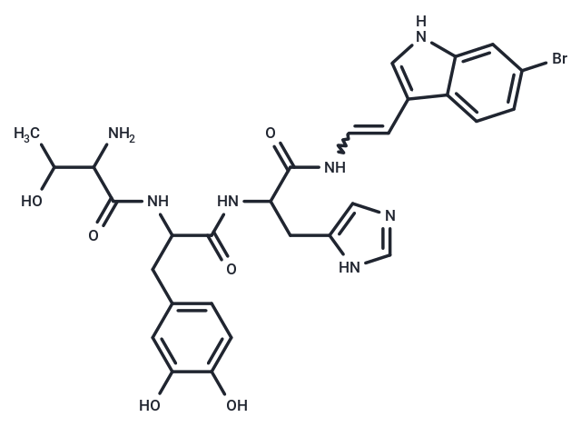 Halocyamine B