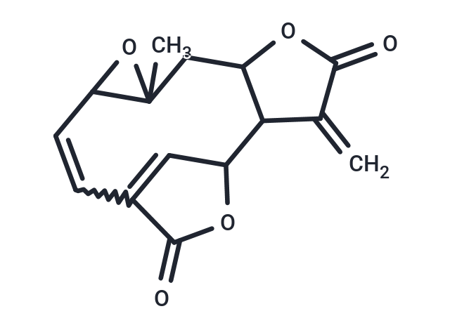 Anhydroscandenolide