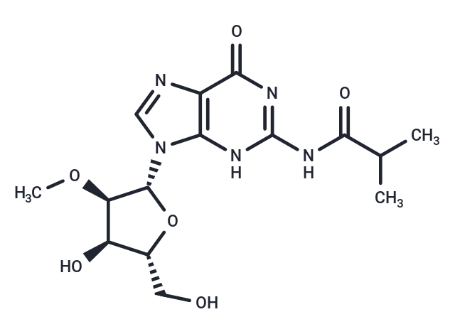 2'-O-Methyl-N2-isobutyroylguanosine