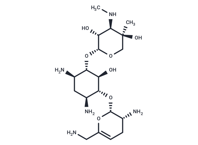 Sisomicin