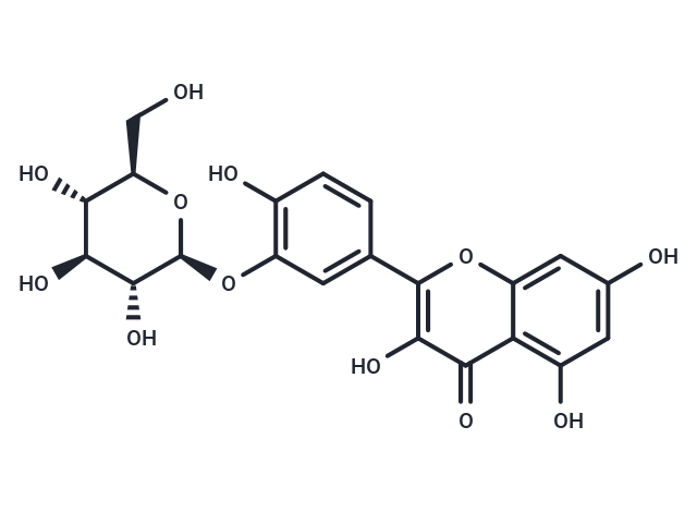 Quercetin-3'-O-glucoside