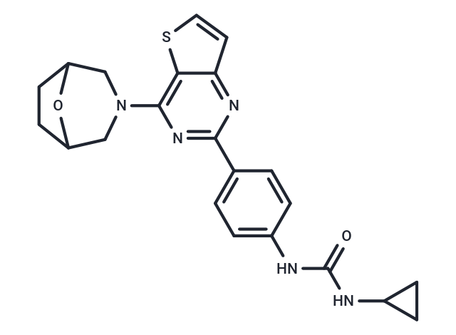 mTOR inhibitor 9e
