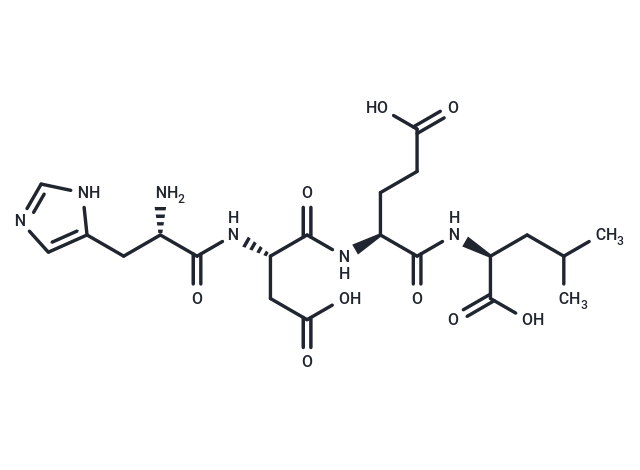 Histidyl-aspartyl-glutamyl-leucine