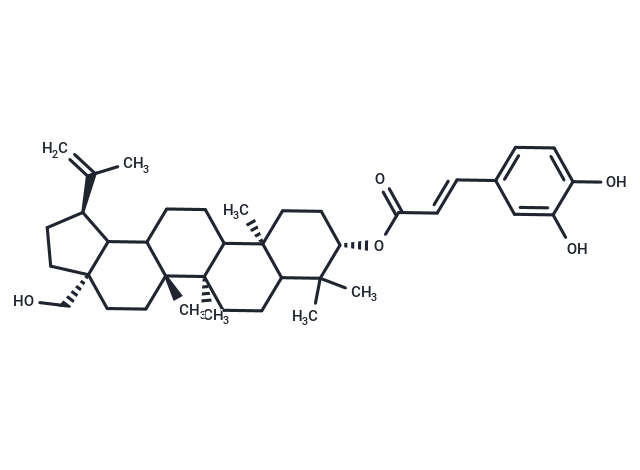 Betulin caffeate
