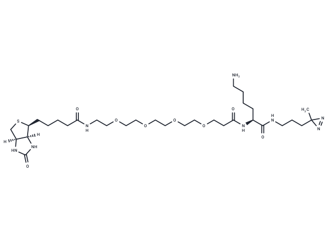 Biotin-probe 1