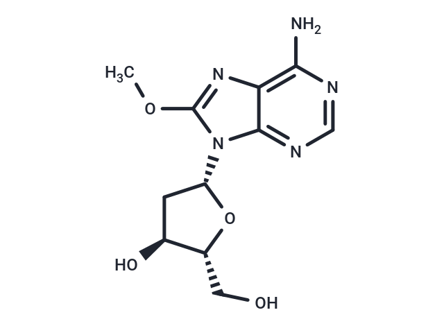 2'-Deoxy-8-methoxyadenosine