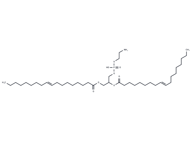 Dielaidoylphosphatidylethanolamine