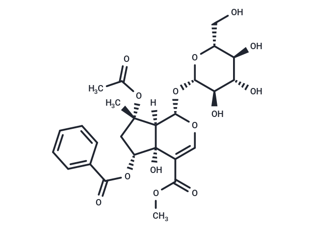 6-O-Benzoylphlorigidoside B