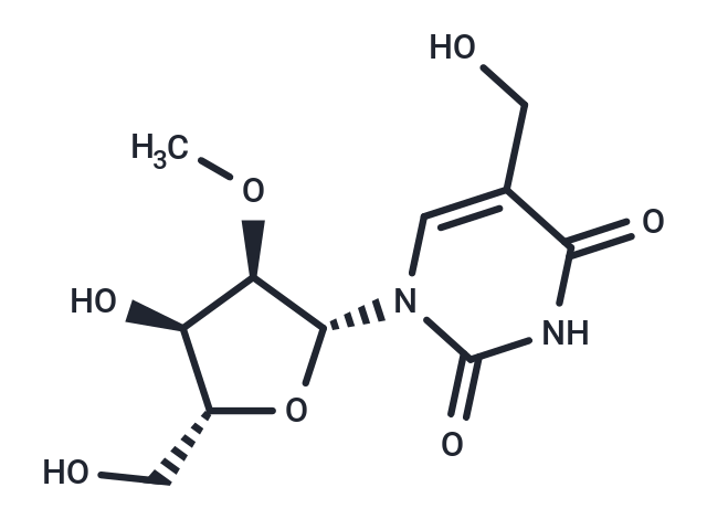 2'-O-Methyl-5-hydroxymethyluridine