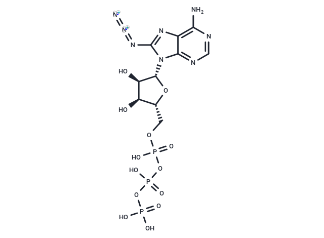 8-Azido-ATP