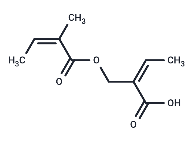 (Z)-2-Angeloyloxymethyl-2-butenoic