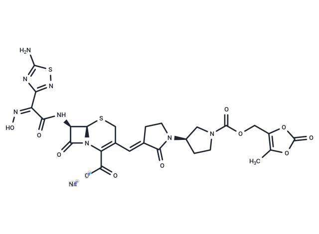 Ceftobiprole medocaril sodium