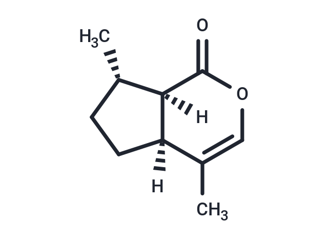 4aα,7α,7aα-Nepetalactone