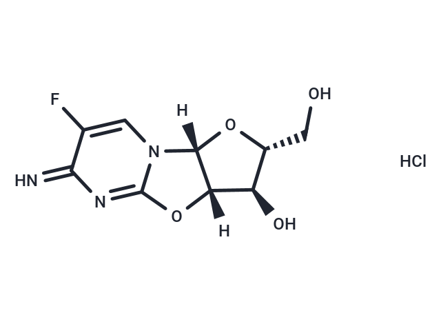 Flurocitabine HCl