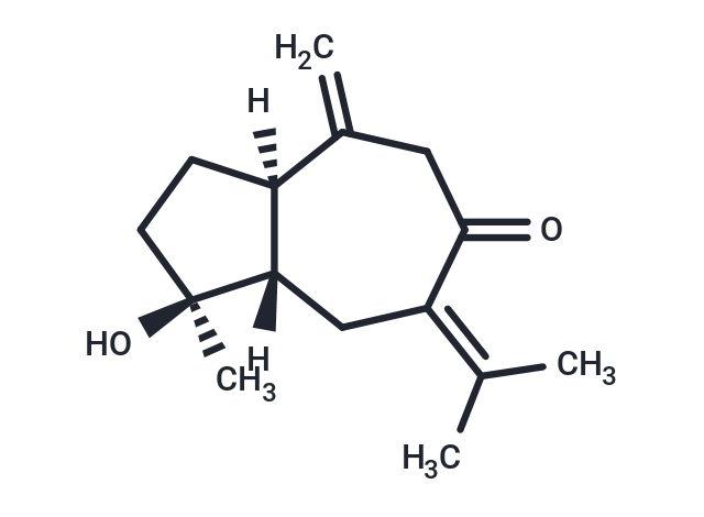 Isoprocurcumenol