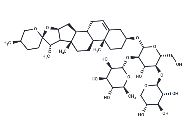 Sprengerinin C