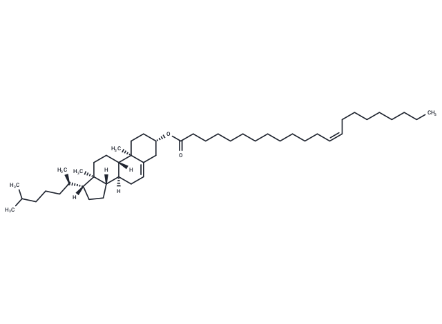 Cholesteryl Erucate