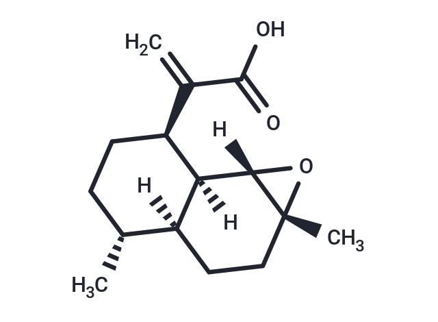 4,5-Epoxyartemisinic acid