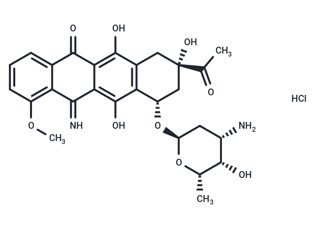 5-Iminodaunorubicin hydrochloride