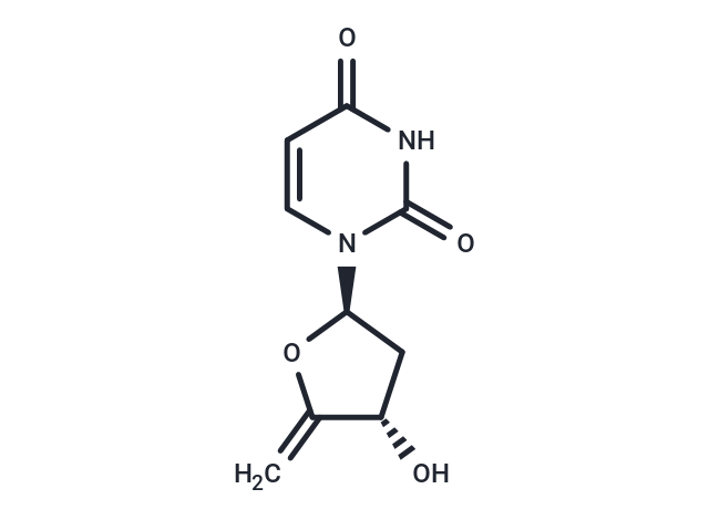 4',5'-Didehydro-2',5'-dideoxyuridine