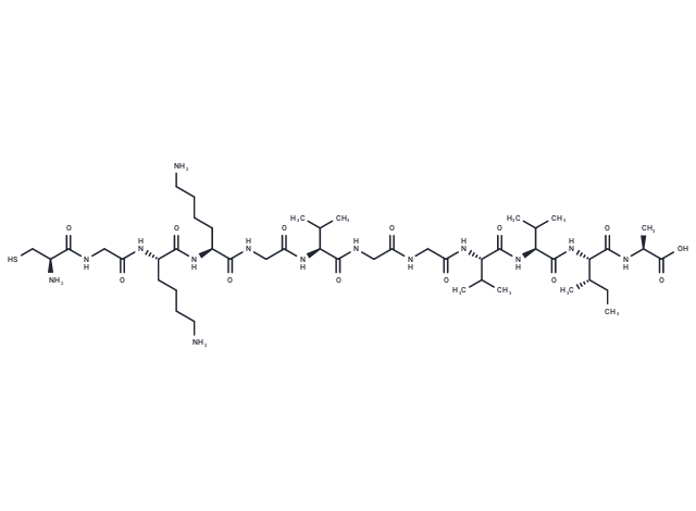 Cys-Gly-Lys-Lys-Gly-Amyloid β-Protein (36-42)