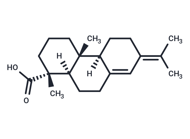 Neoabietic acid