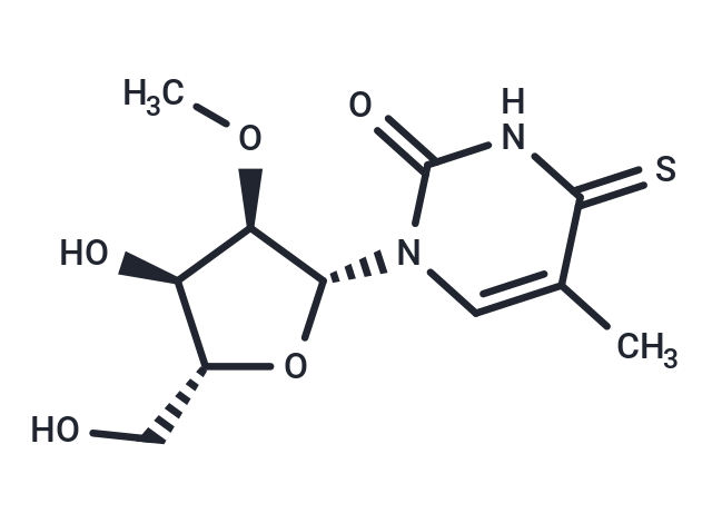 2'-O-Methyl-5-methyl-4-thiouridine