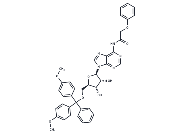 5'-O-(4,4'-Dimethoxytrityl)-N6-Phenoxyacetyl adenosine