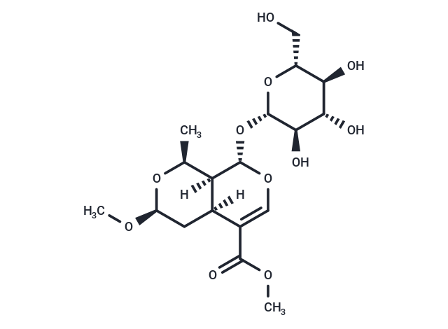 7α-O-Methylmorroniside