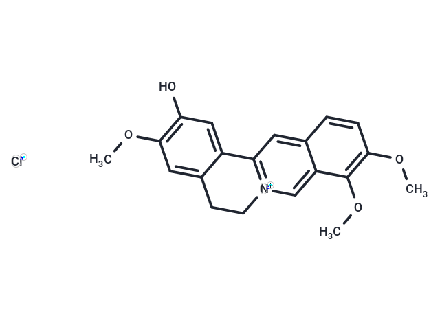 Columbamine chloride