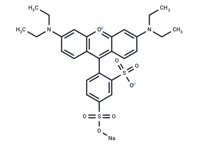 Sulforhodamine B sodium salt
