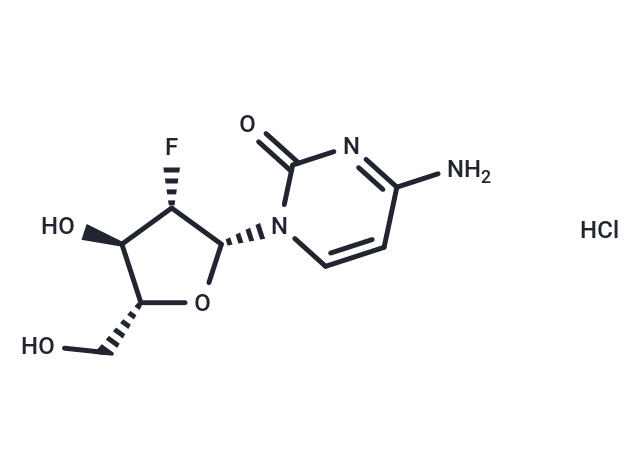 2'-Deoxy-2'-fluoro-β-D-arabinocytidine hydrochloride
