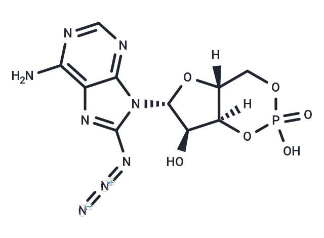 8-Azido-cAMP