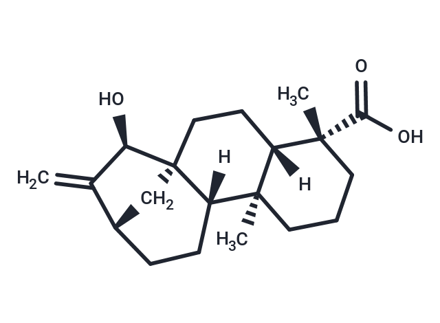 Deacetylxylopic acid