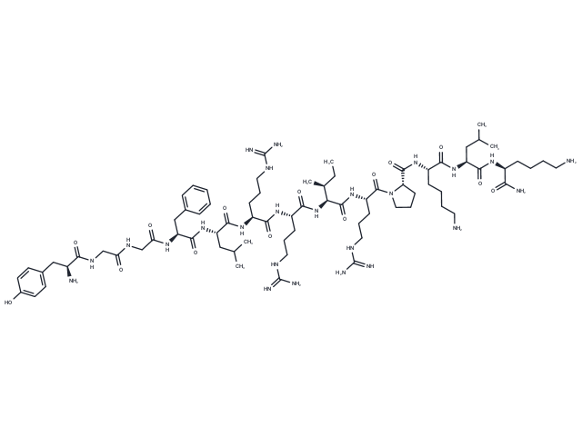 Dynorphin A (1-13) amide