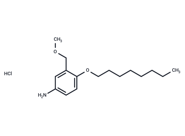 m-Toluidine, alpha-methoxy-4-(octyloxy)-, hydrochloride