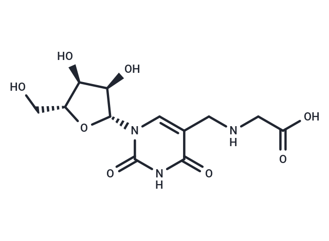 Uridine-5-methylamino acetic acid