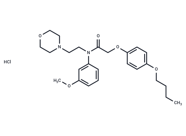 Acetamide, N-(m-anisyl)-2-(p-butoxyphenoxy)-N-(2-morpholinoethyl)-, hydrochloride