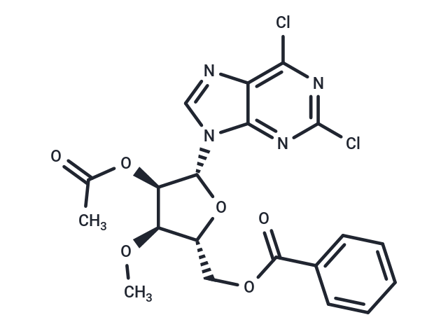 9-(2'-O-Acetyl-5'-O-benzoyl-3'-O-methyl-beta-D-ribofuranosyl)-2,6-dichloropurine