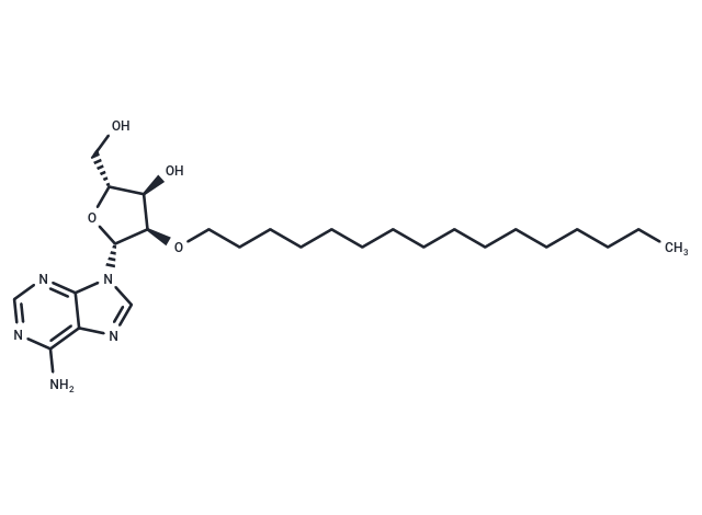 2'-O-Hexadecanyl adenosine