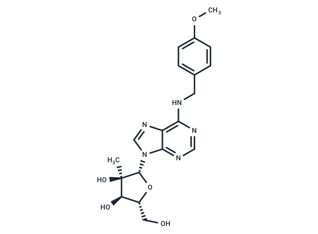 N6-(4-Methoxybenzyl)-2'-C-methyl adenosine