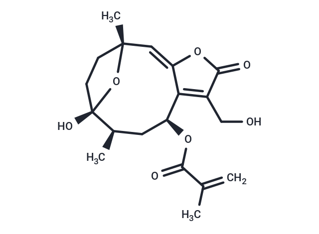 8alpha-(2-Methylacryloyloxy)hirsutinolide