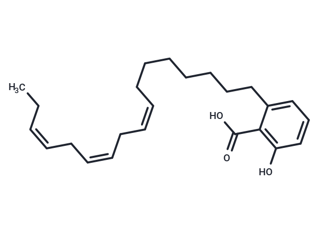 Antibiotic SB 202742
