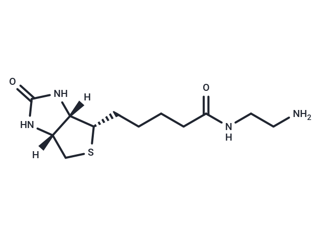 Biotin-EDA