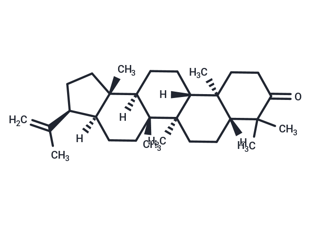 3-Oxo-hop-22(29)-ene
