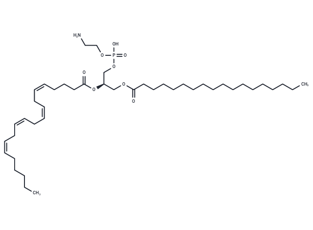 1-Stearoyl-2-arachidonoyl-sn-glycero-3-phosphorylethanolamine